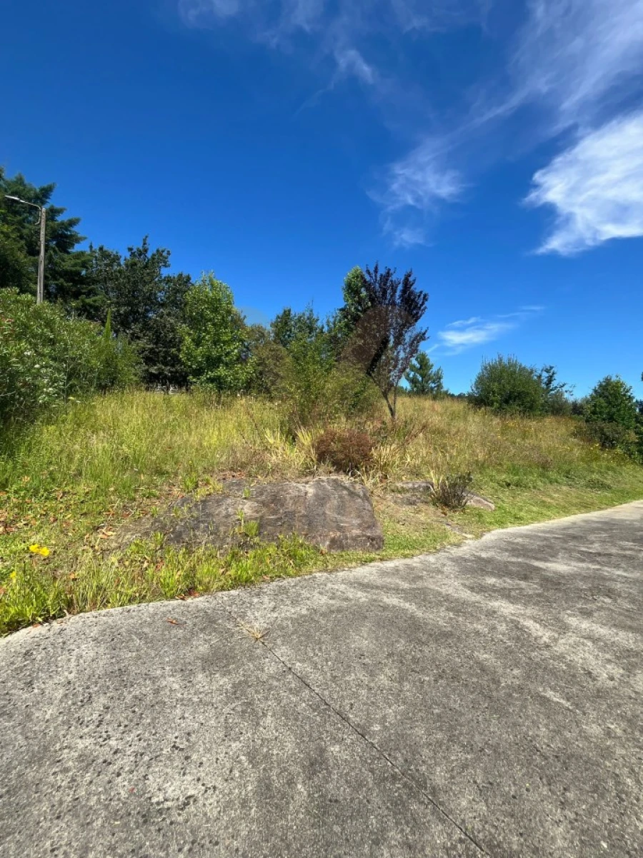 Moradia T5 para Venda em Fontão Foto 48