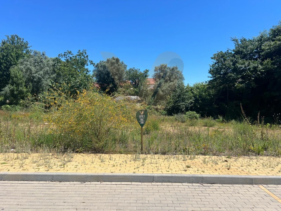 Terreno para Venda em Fornelos e Queijada Foto 3