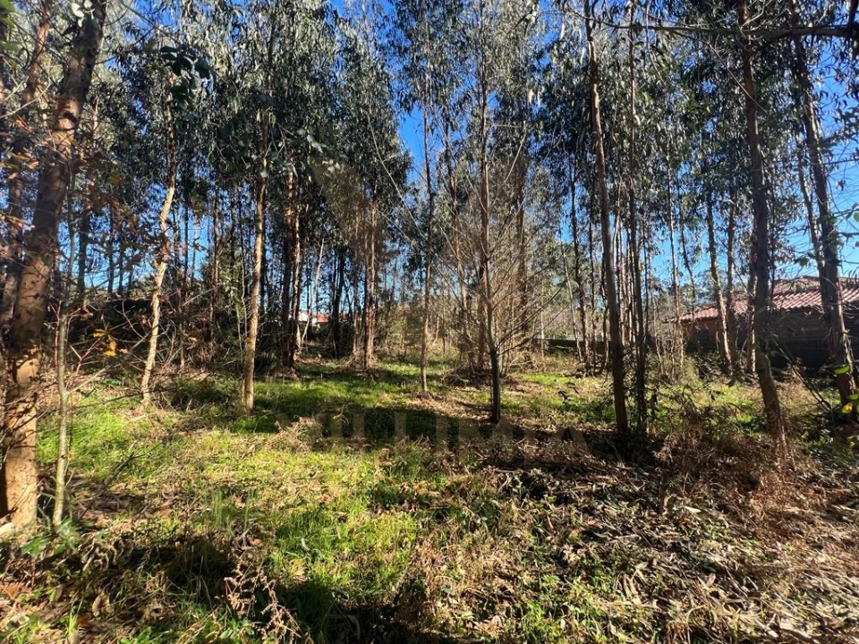 Terreno para Venda em Rebordões (Souto) Foto 1