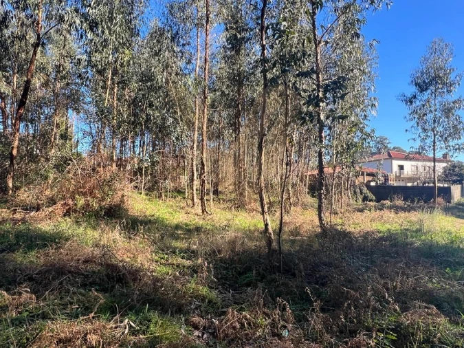 Terreno para Venda em Rebordões (Souto) Foto 3