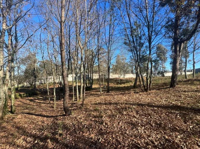 Terreno para Venda em Gemieira Foto 2