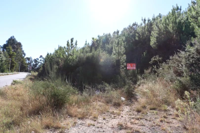 Terreno para Venda em Lustosa e Barrosas (Santo Estêvão)