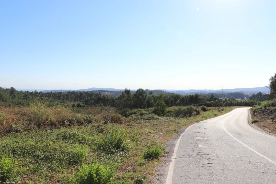 Terreno Comércio / Armazém para Venda em Lustosa e Barrosas (Santo Estêvão) Foto 4