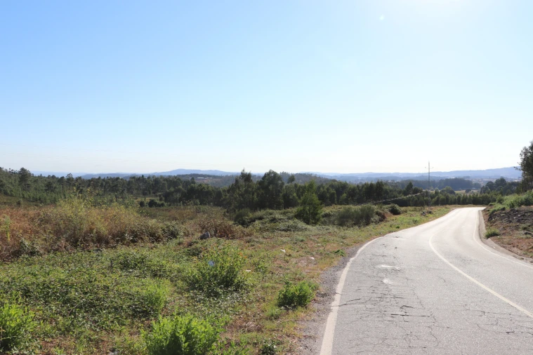 Terreno Comércio / Armazém para Venda em Lustosa e Barrosas (Santo Estêvão) Foto 4