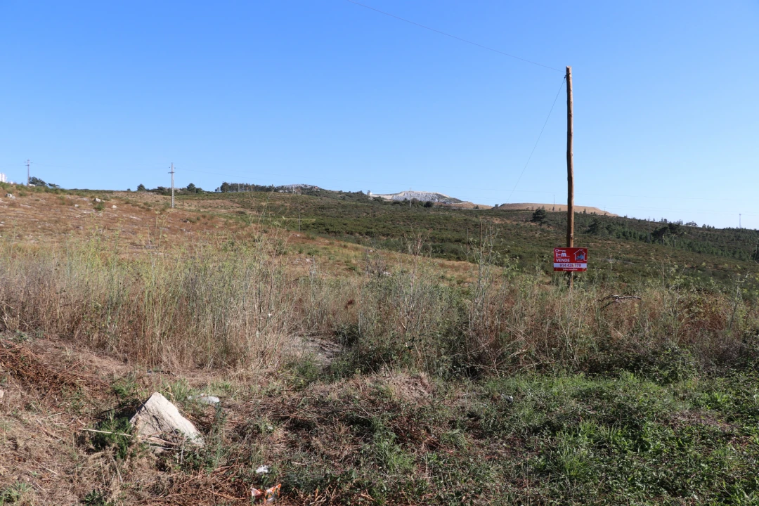 Terreno Comércio / Armazém para Venda em Lustosa e Barrosas (Santo Estêvão) Foto 1