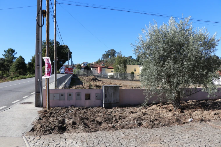 Terreno para Venda em Lustosa e Barrosas (Santo Estêvão) Foto 5