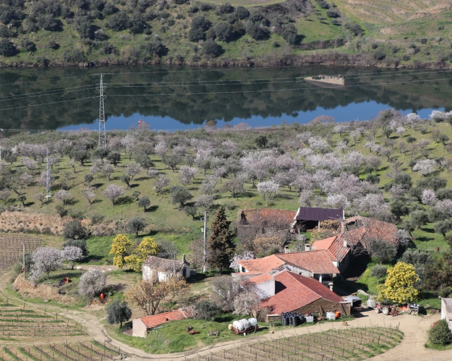 Quinta T0 para Venda em Torre de Moncorvo Foto 7