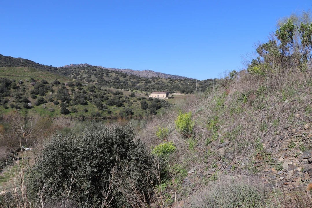 Quinta T0 para Venda em Torre de Moncorvo Foto 3
