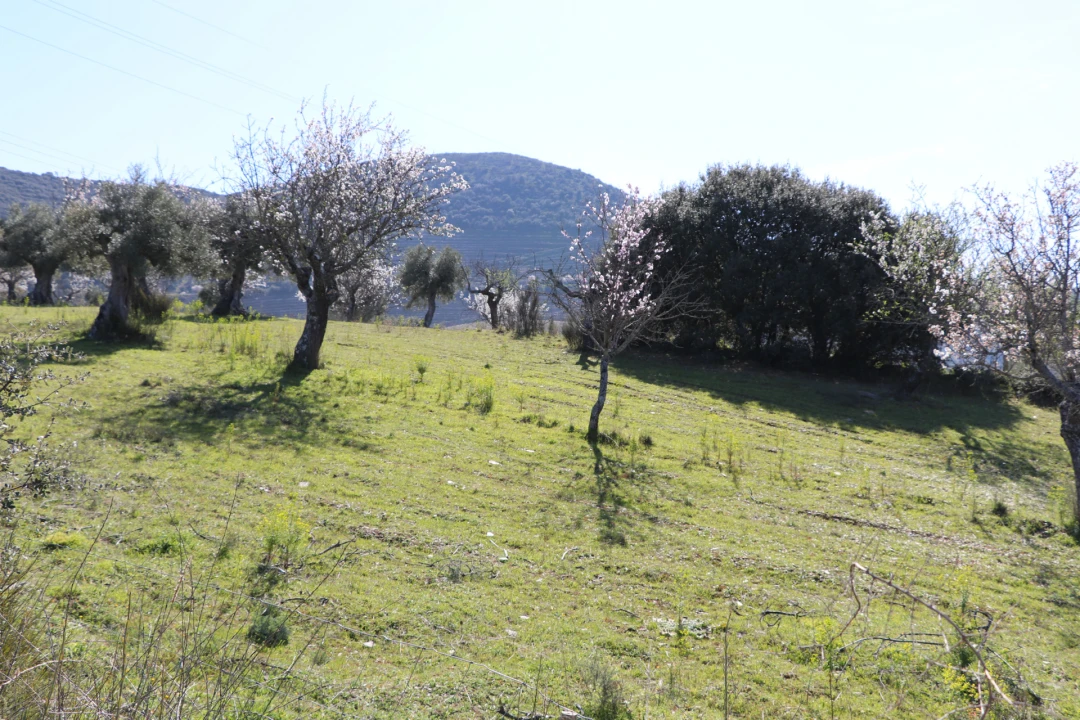Quinta T0 para Venda em Torre de Moncorvo Foto 21