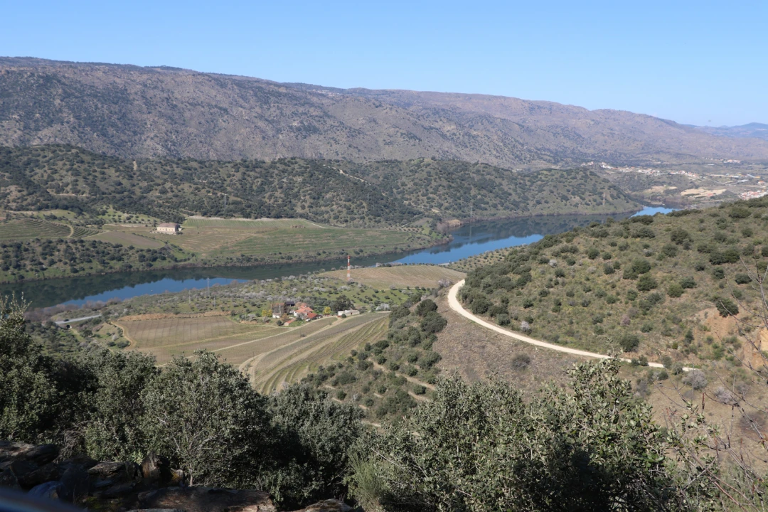 Quinta T0 para Venda em Torre de Moncorvo Foto 14