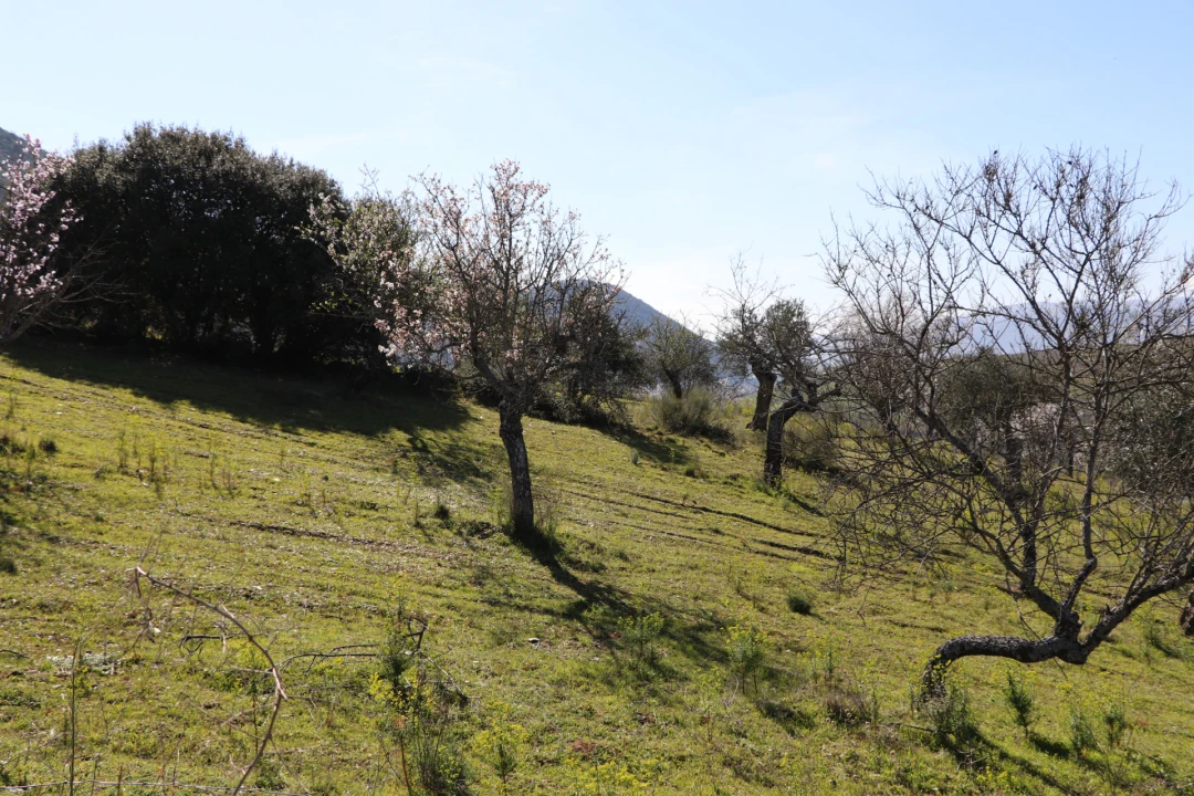 Quinta T0 para Venda em Torre de Moncorvo Foto 20