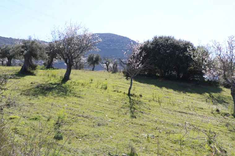 Quinta T0 para Venda em Torre de Moncorvo Foto 21