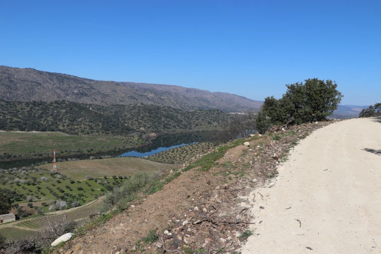 Quinta T0 para Venda em Torre de Moncorvo Foto 10