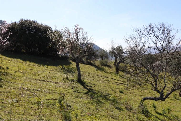 Quinta T0 para Venda em Torre de Moncorvo Foto 20