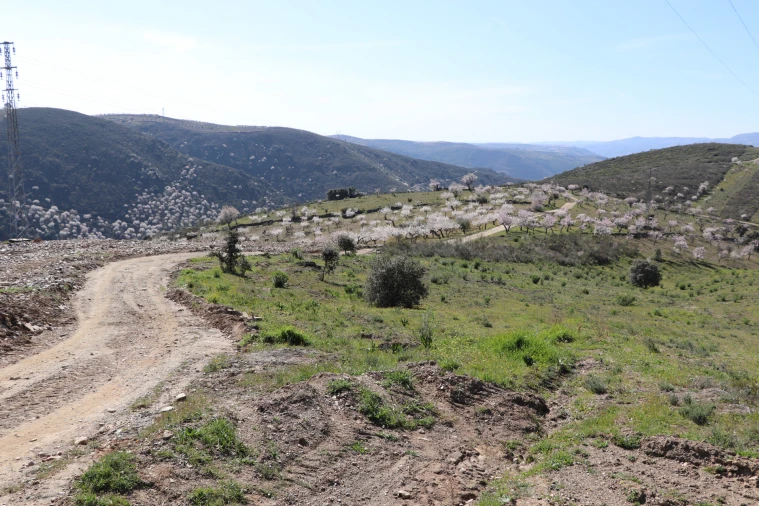 Quinta T0 para Venda em Torre de Moncorvo Foto 12