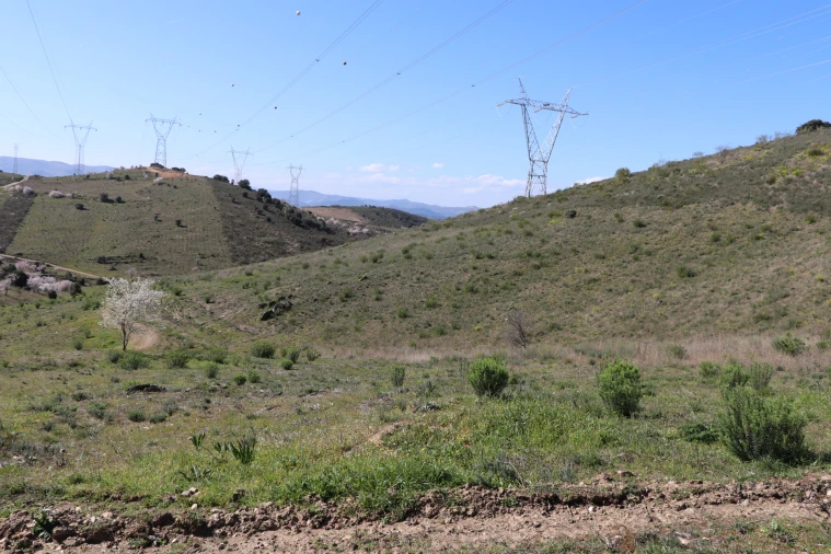 Quinta T0 para Venda em Torre de Moncorvo Foto 11