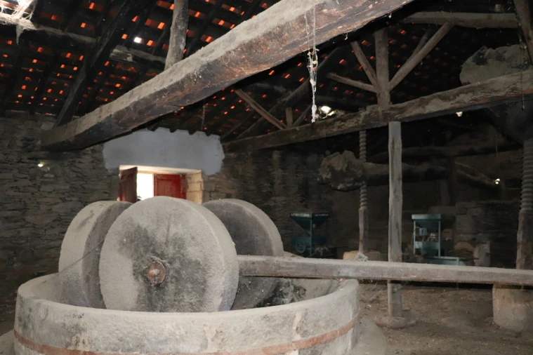 Quinta T0 para Venda em Torre de Moncorvo Foto 30