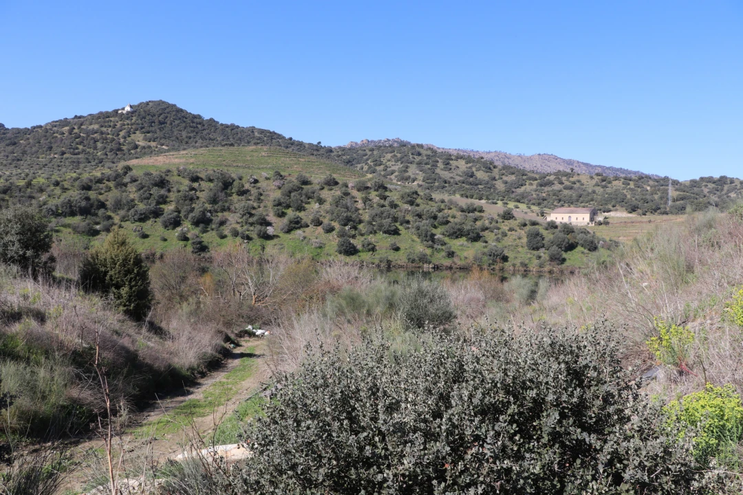 Quinta T0 para Venda em Torre de Moncorvo Foto 2