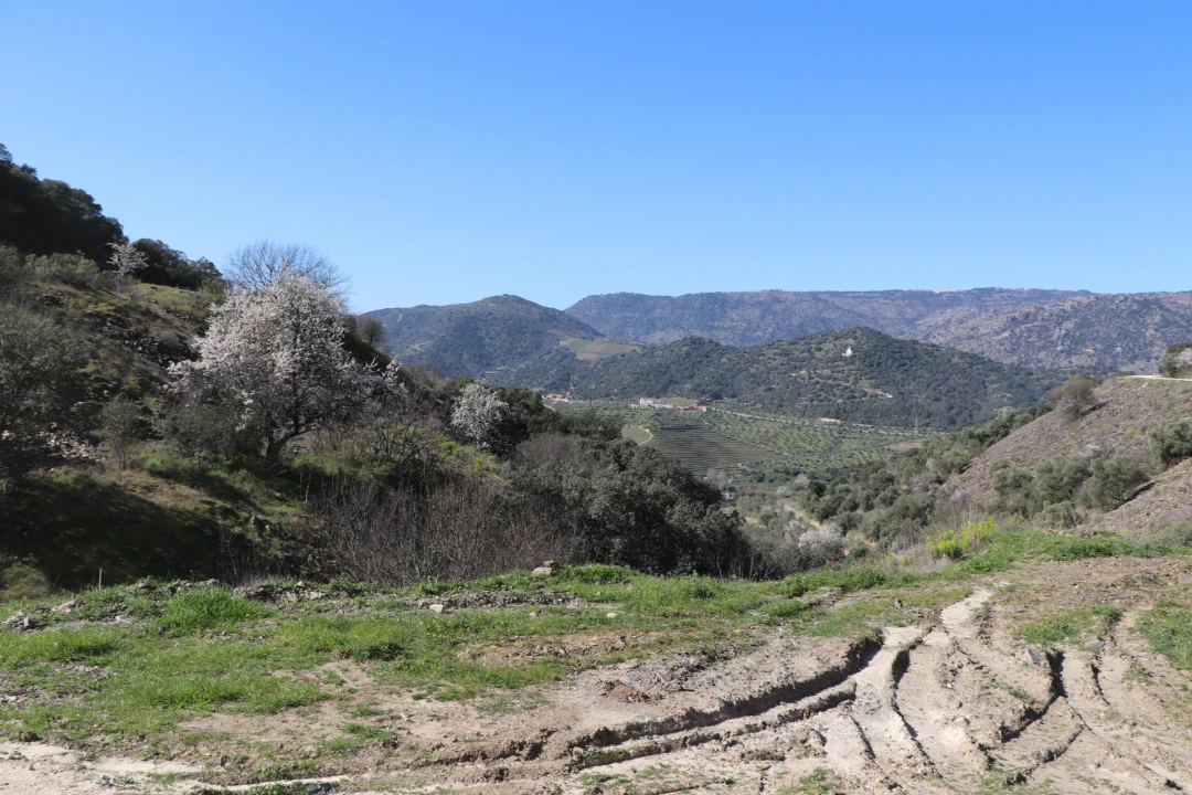 Quinta T0 para Venda em Torre de Moncorvo Foto 5