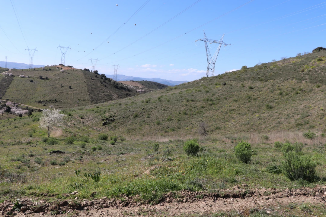 Quinta T0 para Venda em Torre de Moncorvo Foto 11