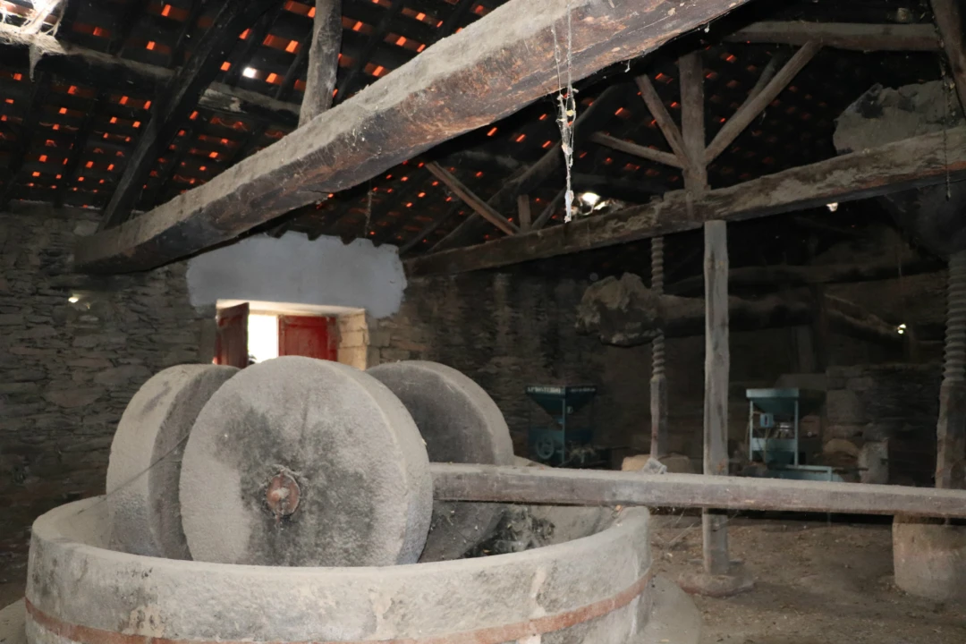 Quinta T0 para Venda em Torre de Moncorvo Foto 30