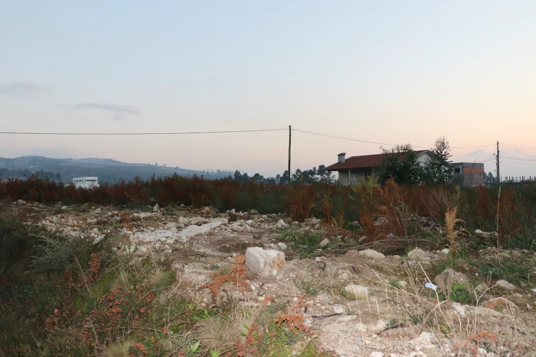 Terreno para Venda em Lustosa e Barrosas (Santo Estêvão) Foto 6