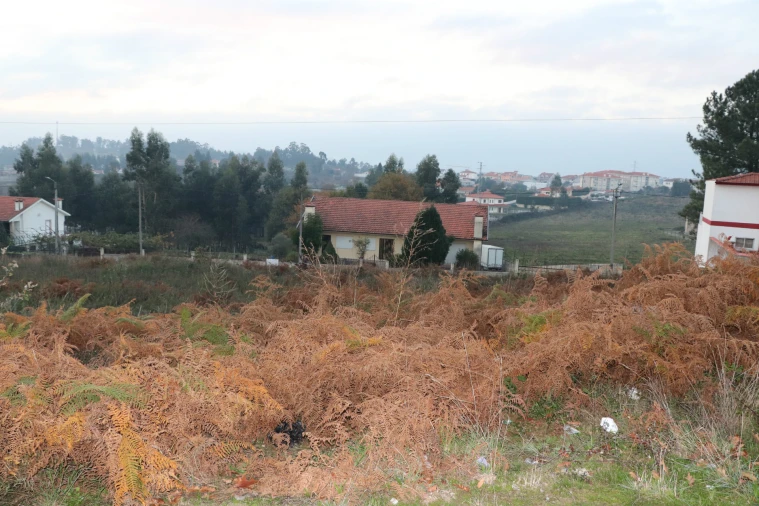 Terreno para Venda em Lustosa e Barrosas (Santo Estêvão) Foto 2