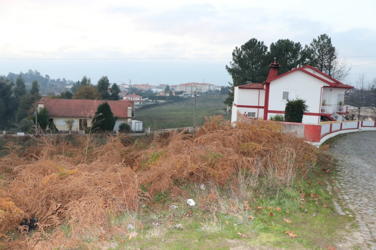Terreno para Venda em Lustosa e Barrosas (Santo Estêvão) Foto 3