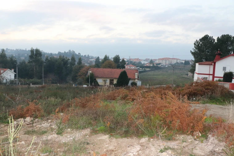 Terreno para Venda em Lustosa e Barrosas (Santo Estêvão) Foto 8
