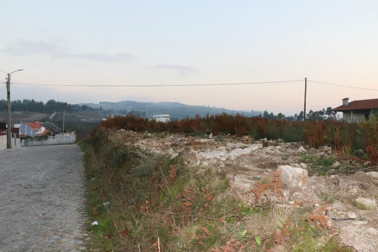 Terreno para Venda em Lustosa e Barrosas (Santo Estêvão) Foto 7