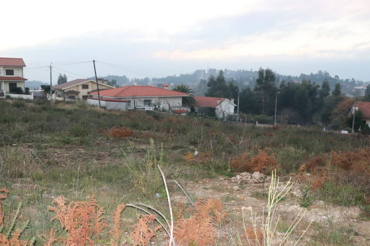 Terreno para Venda em Lustosa e Barrosas (Santo Estêvão) Foto 9