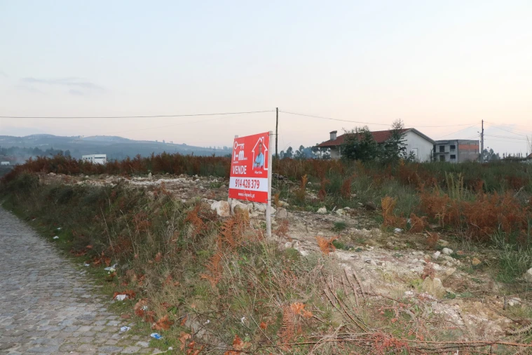 Terreno para Venda em Lustosa e Barrosas (Santo Estêvão) Foto 10