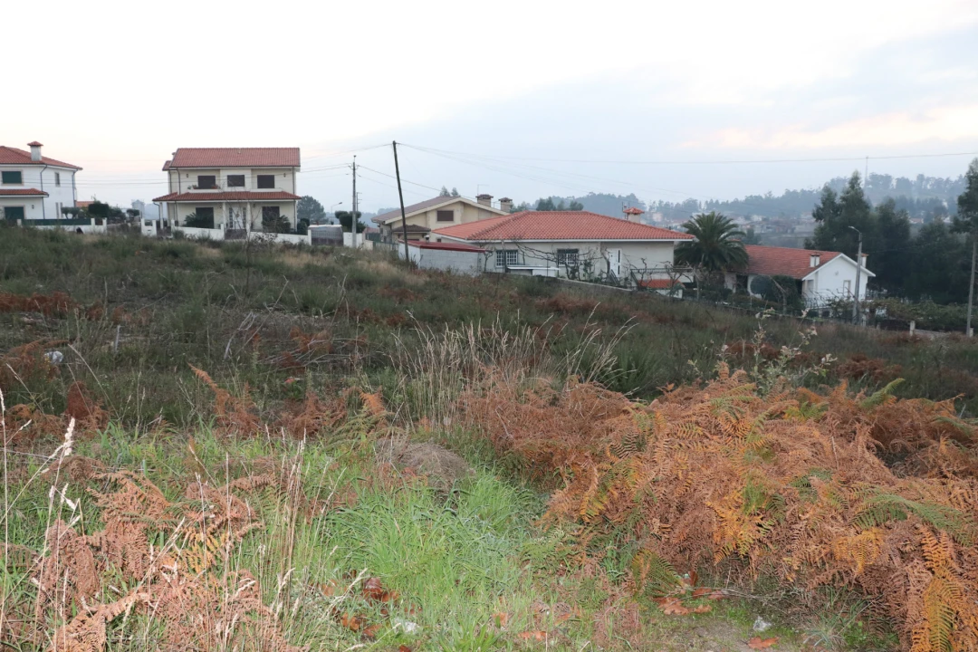Terreno para Venda em Lustosa e Barrosas (Santo Estêvão) Foto 4