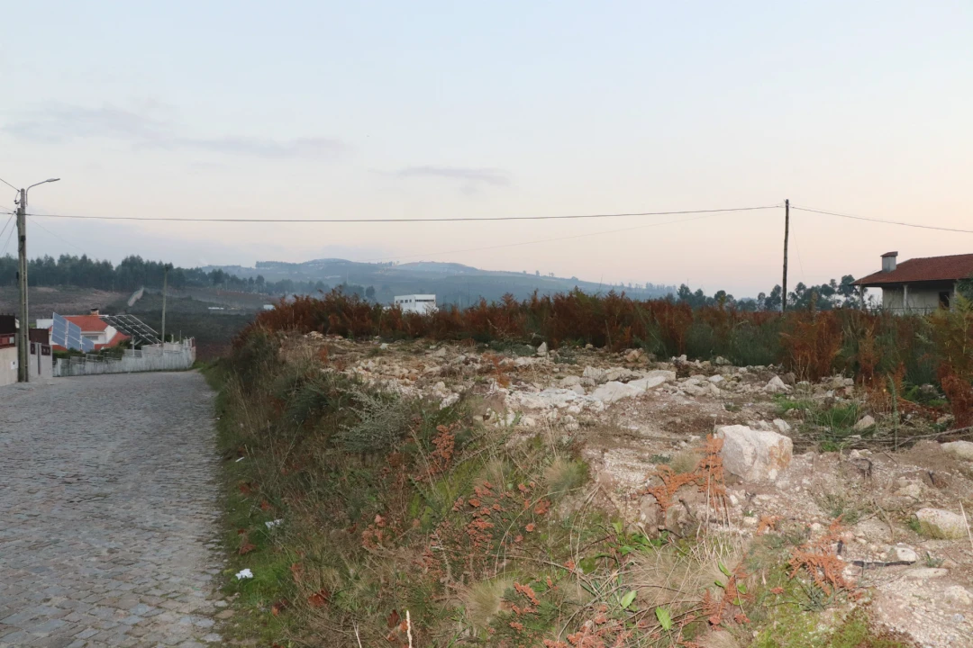 Terreno para Venda em Lustosa e Barrosas (Santo Estêvão) Foto 7