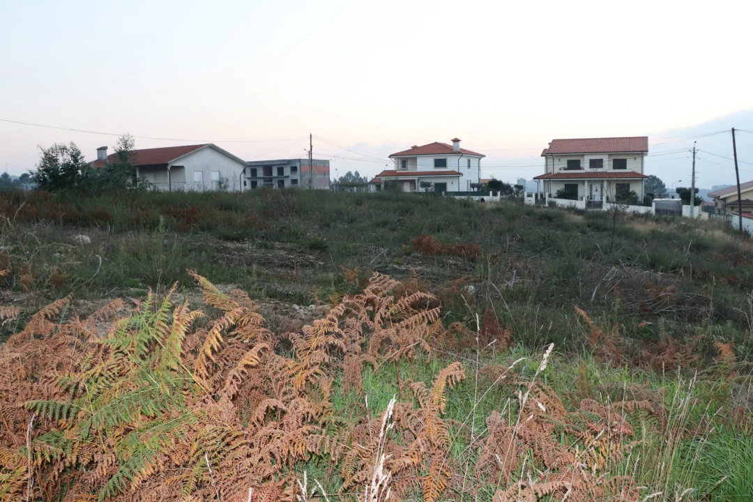Terreno para Venda em Lustosa e Barrosas (Santo Estêvão) Foto 5