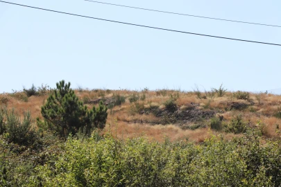 Terreno para Venda em Lustosa e Barrosas (Santo Estêvão)