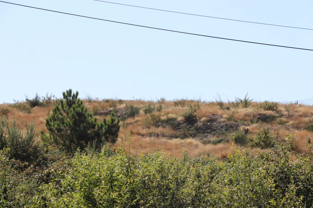 Terreno para Venda em Lustosa e Barrosas (Santo Estêvão) Foto 3