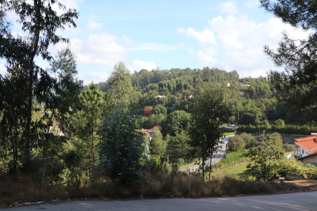 Terreno para Venda em Lustosa e Barrosas (Santo Estêvão) Foto 7
