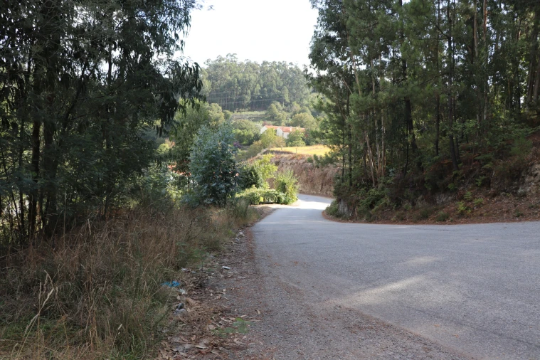 Terreno para Venda em Lustosa e Barrosas (Santo Estêvão) Foto 6