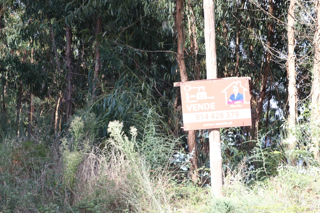 Terreno para Venda em Lustosa e Barrosas (Santo Estêvão) Foto 4