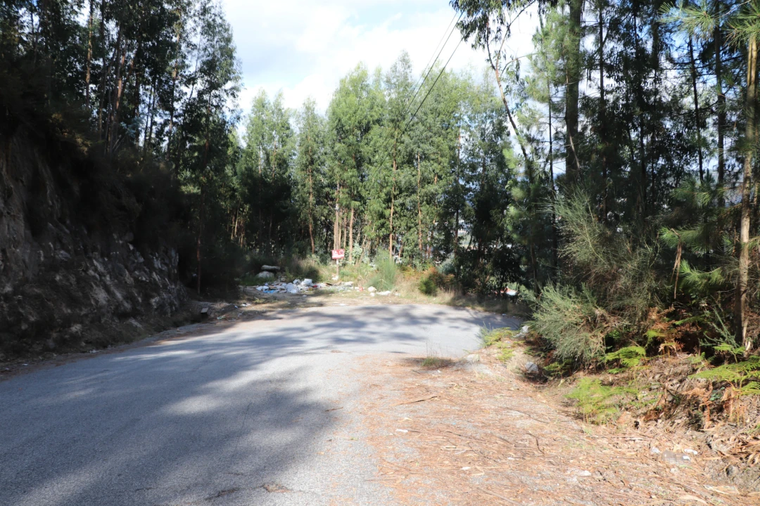 Terreno para Venda em Lustosa e Barrosas (Santo Estêvão) Foto 2