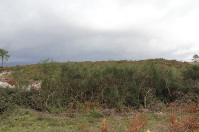 Terreno para Venda em Lustosa e Barrosas (Santo Estêvão)