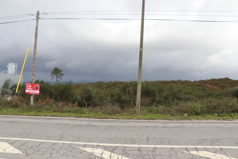 Terreno para Venda em Lustosa e Barrosas (Santo Estêvão) Foto 3