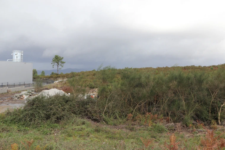 Terreno para Venda em Lustosa e Barrosas (Santo Estêvão) Foto 7