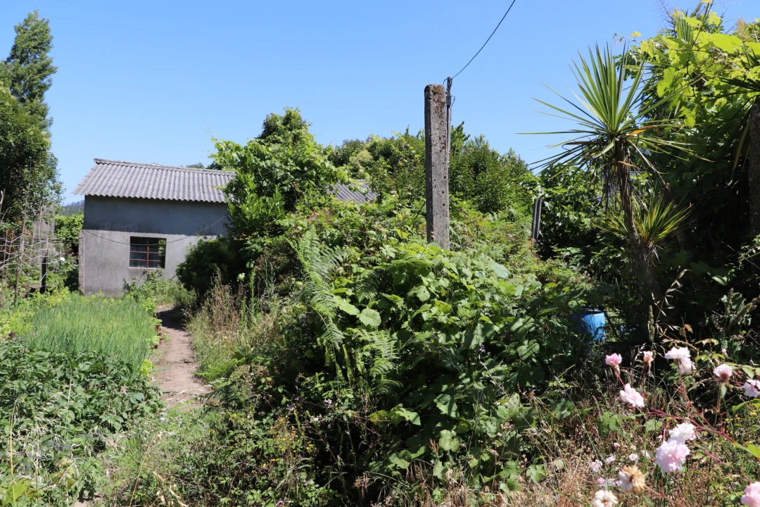 Armazém para Venda em Lustosa e Barrosas (Santo Estêvão) Foto 9