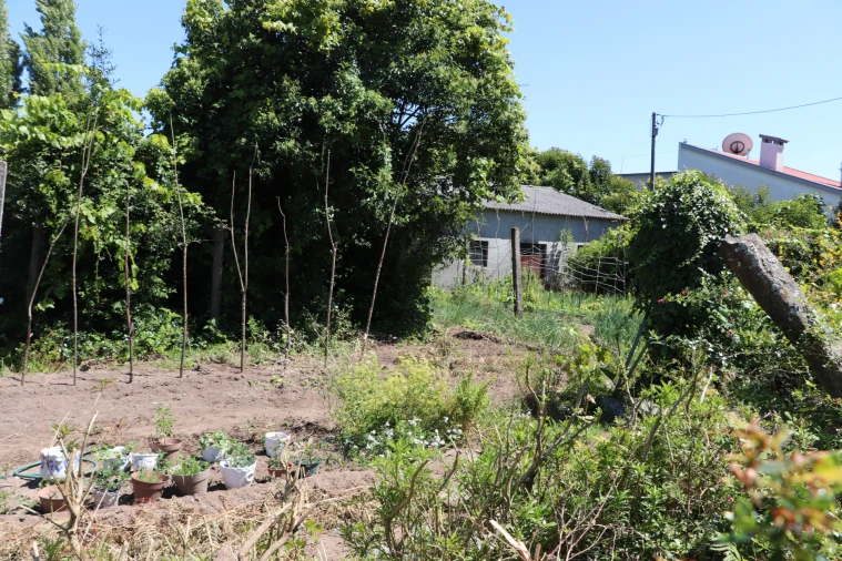 Armazém para Venda em Lustosa e Barrosas (Santo Estêvão) Foto 6