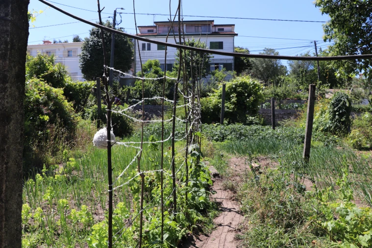 Armazém para Venda em Lustosa e Barrosas (Santo Estêvão) Foto 13