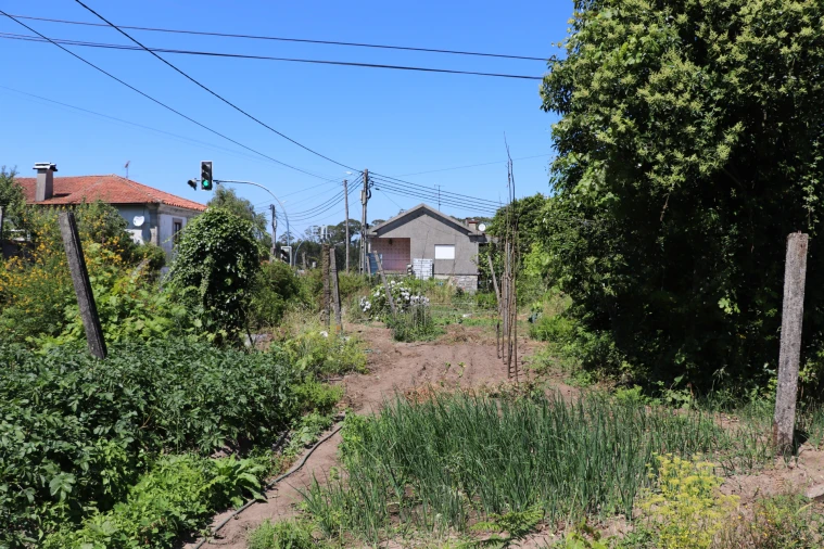 Armazém para Venda em Lustosa e Barrosas (Santo Estêvão) Foto 14