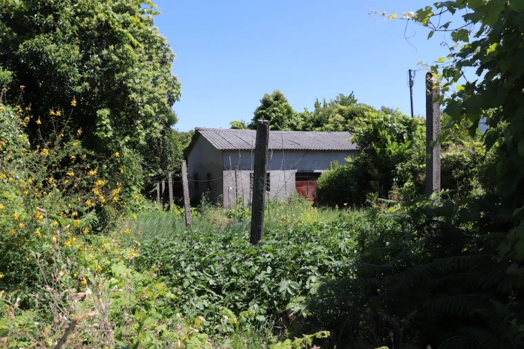 Armazém para Venda em Lustosa e Barrosas (Santo Estêvão) Foto 7