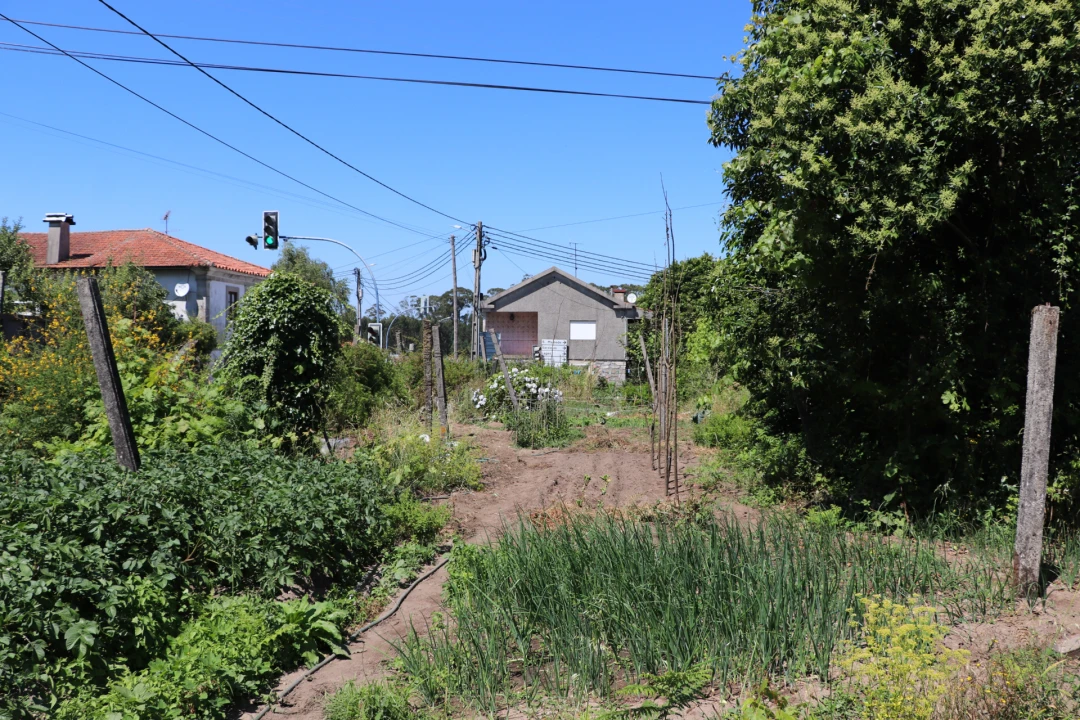Armazém para Venda em Lustosa e Barrosas (Santo Estêvão) Foto 14